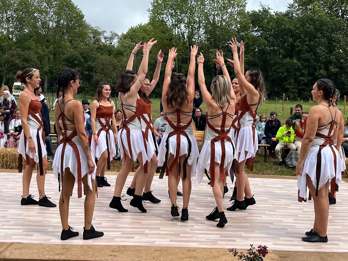 Secteur Danse sur le parc des animations - Festival de l'Histoire de France